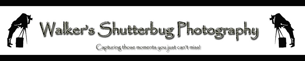 Walker's Shutterbug Photography